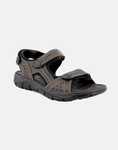 IGI & Co. - Men's Sandal in Fumo.