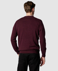 Model wearing Rodd & Gunn - Queenstown Sweater in Rust - back.