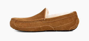 UGG - Ascot Slipper