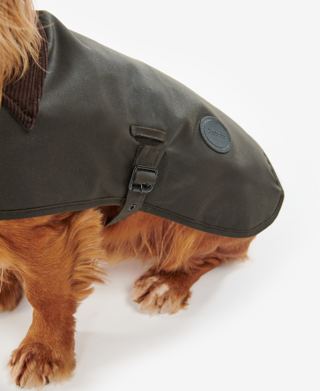 Barbour Wax Dog Coat in Olive.