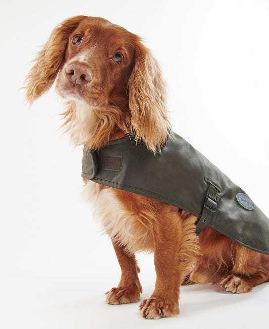 Barbour Wax Dog Coat in Olive.