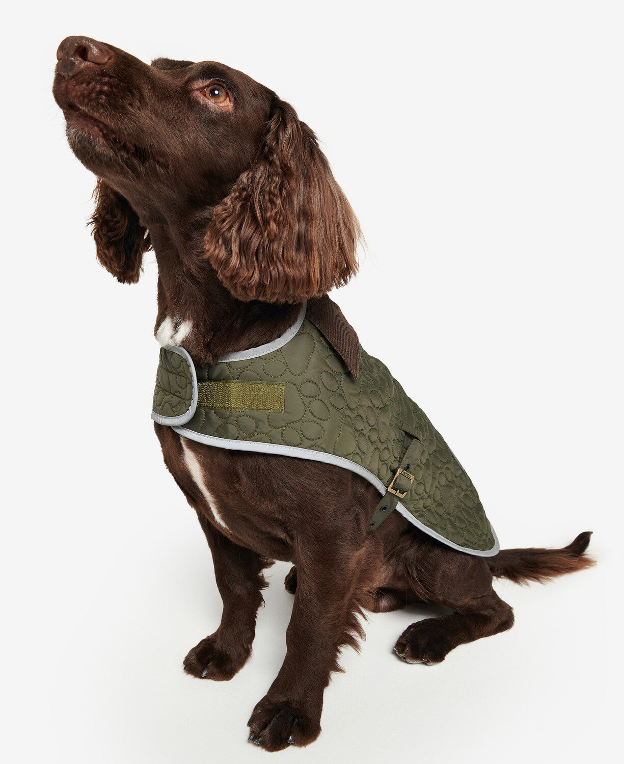 Barbour Paw Quilt Dog Coat in Olive.