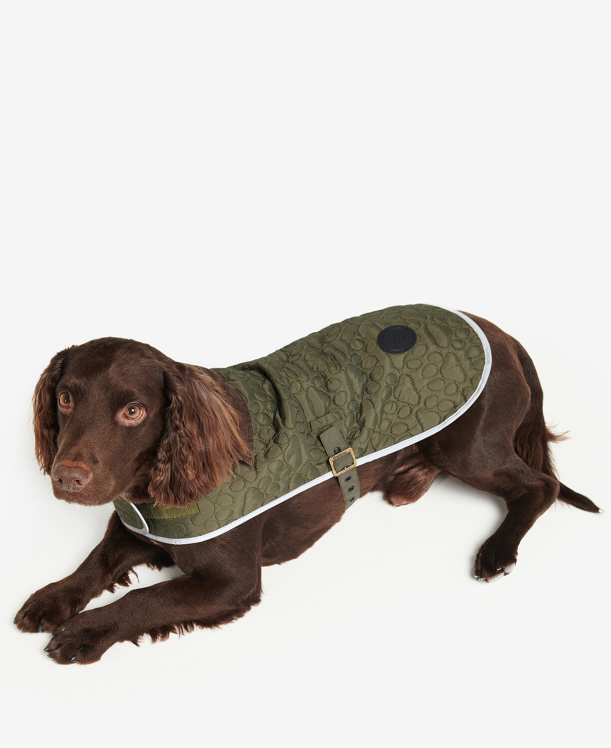 Barbour Paw Quilt Dog Coat in Olive.