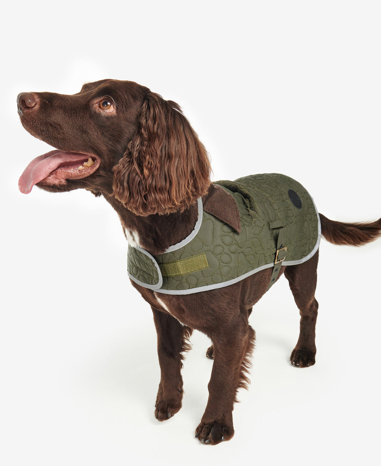 Barbour Paw Quilt Dog Coat in Olive.
