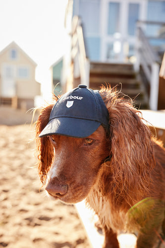 Barbour Dog Cascade Cap in Navy