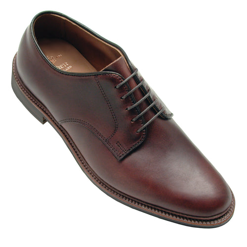 Alden 29364F plain toe blucher shoe.